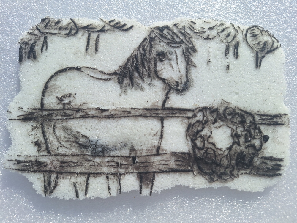 Highland Pony Postcard Highland Pony Postcard